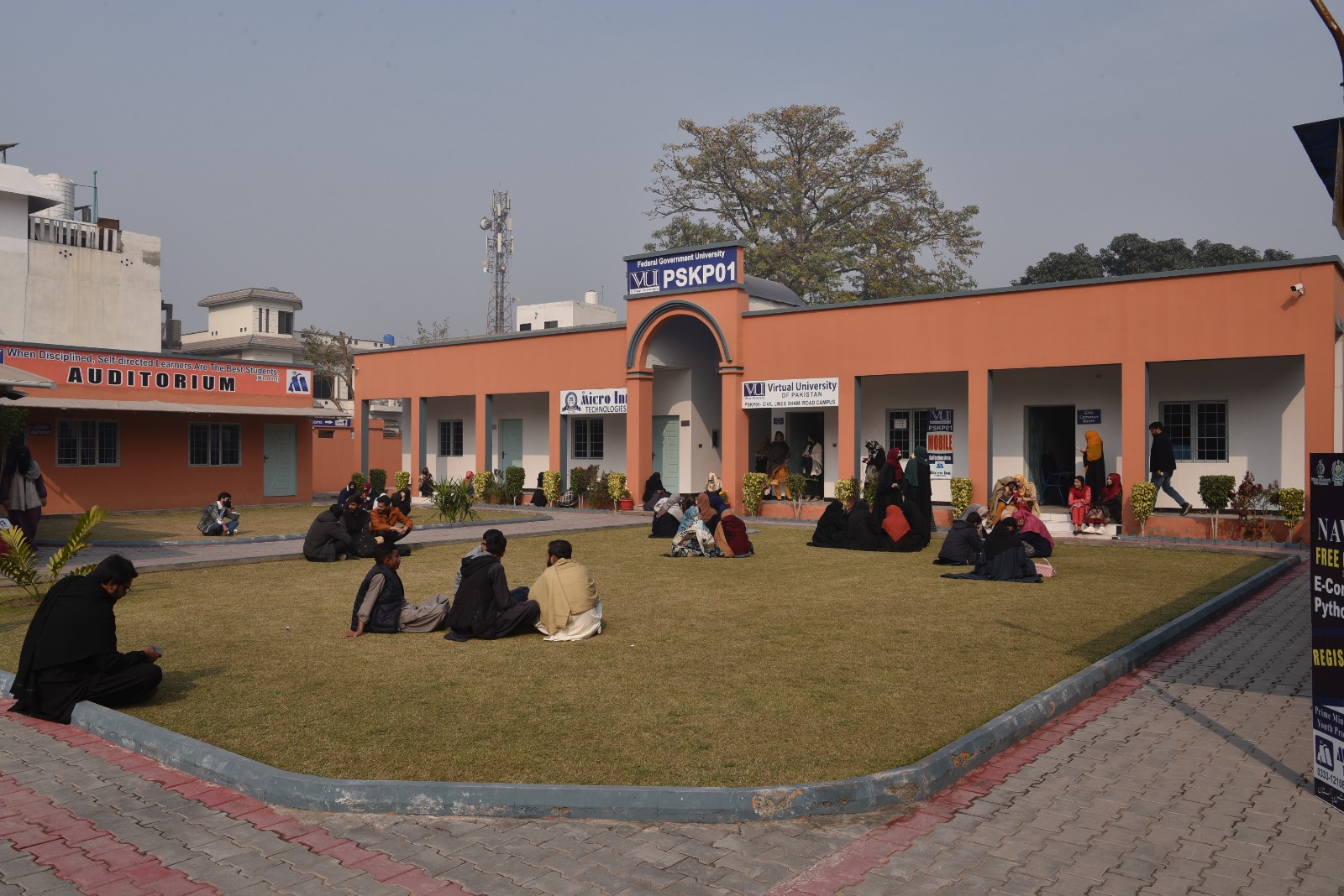 The lawn between the blocks